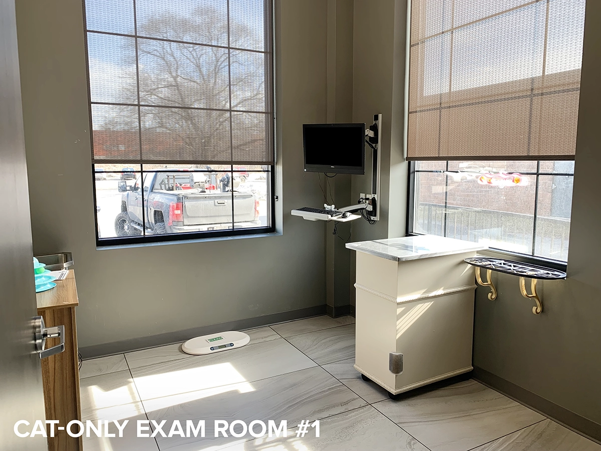 Cats-only exam room #2