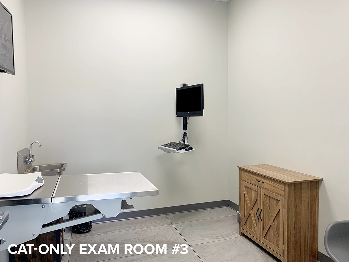Cats-only exam room #3