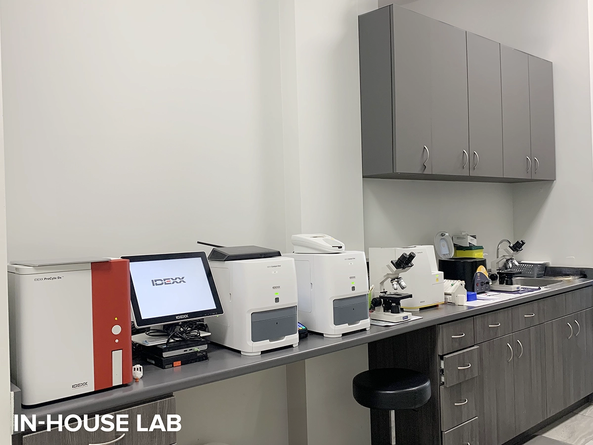 In-house Lab