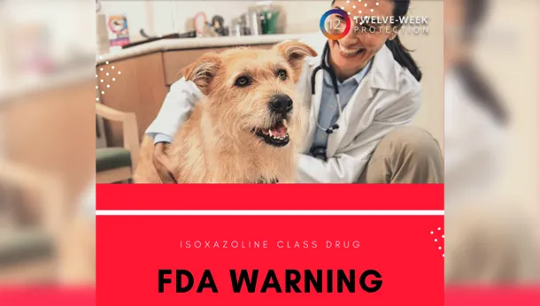 FDA Bravecto Warning – Four Key Facts You Need to Know