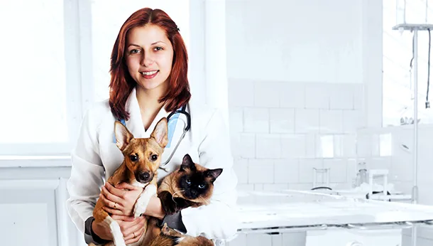 5 Signs It May Be Time to See a Veterinarian