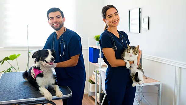 When Does Your Pet Require Vet Care?