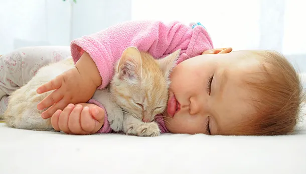 Baby Bonding with Pet Cats