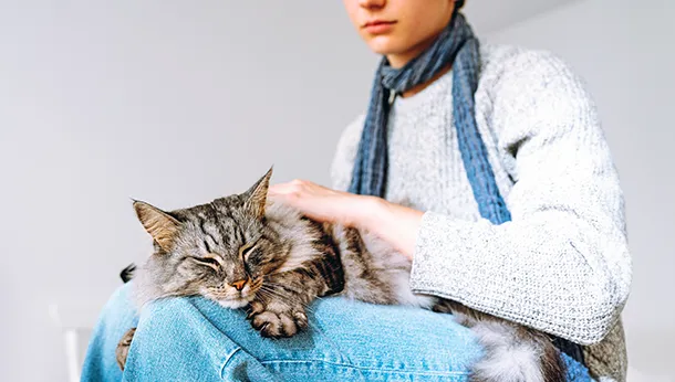 6 Reasons to Hire a Pet Sitter for Your Cat