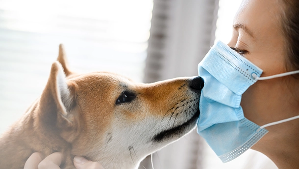 ONE HEALTH: providing veterinary care in the wake of COVID-19