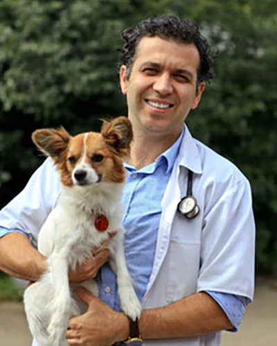 Dr. Nick Barbaza