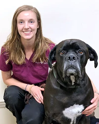 Loranna - Veterinary Assistant