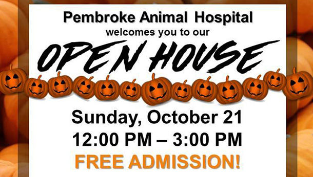 Save the Date: PAH Halloween Open House is October 21
