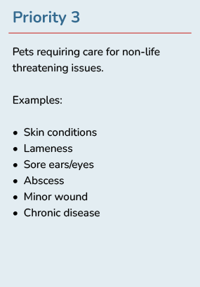 Priority 3 - Skin conditions, Lameness, Sore ears/eyes, Abscess, Minor wound, Chronic disease