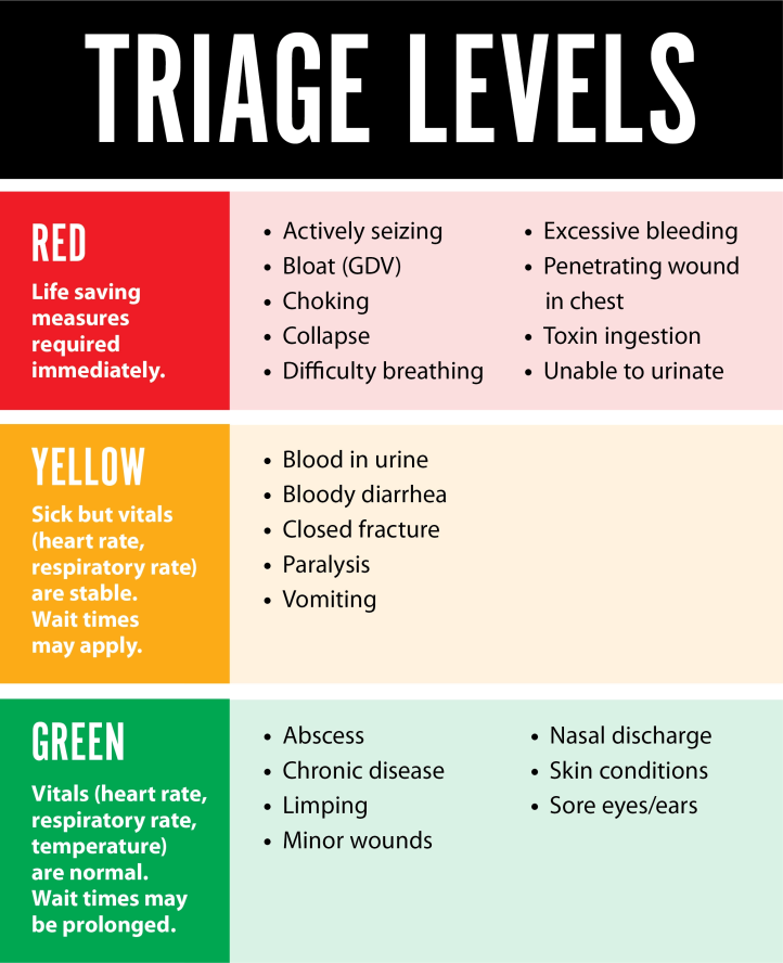 Triage Levels