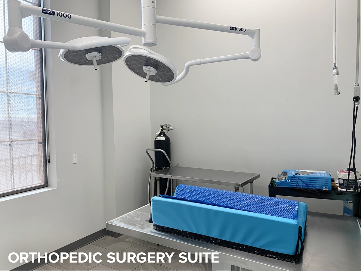 Orthopedic surgery