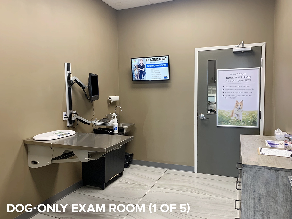 Dog-only exam room