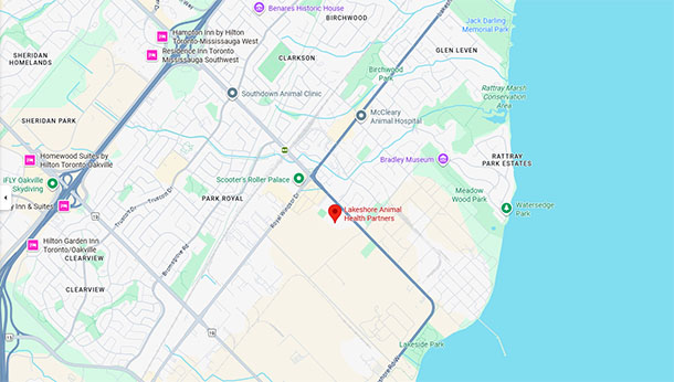 TAHP Specialty Emergency Animal Hospital Location Map