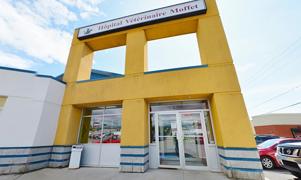 CAPITALE-NATIONALE : Beauport Anima-Plus Veterinary Hospital