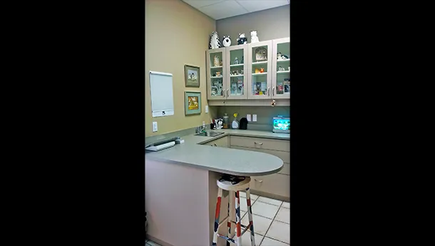 Cat exam room