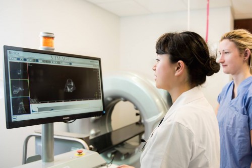 Diagnostics 3