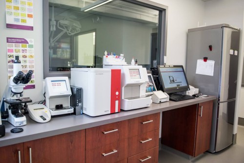 Lab Work