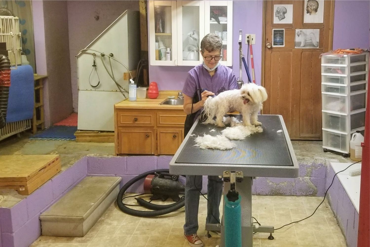 Dog Grooming