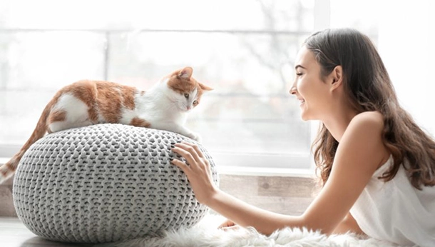 How to Keep Your Indoor Cat Healthy