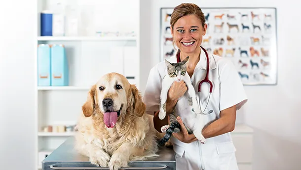 What’s it like to get a vet exam?