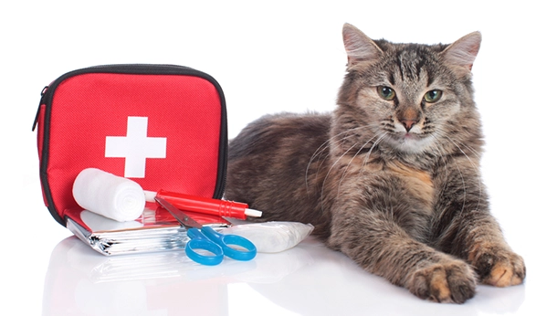 Pet First Aid Kits