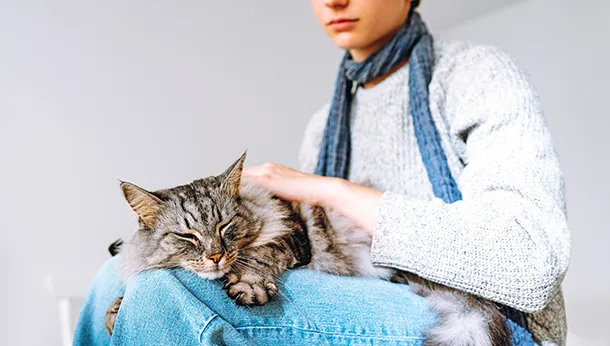 What to Tell Your Cat sitter Before Going on Vacation