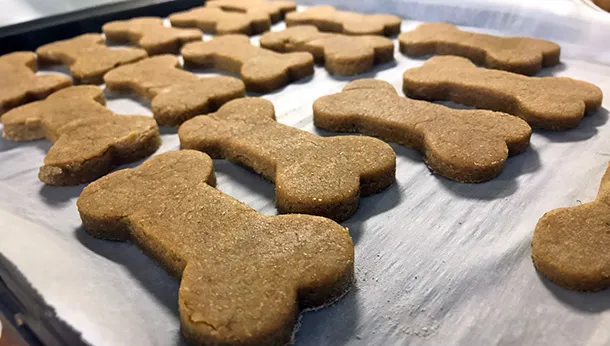 Applesauce and Oatmeal Pet Cookie