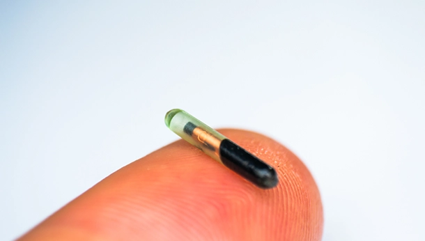 Microchip: What is it and How Does it Work?