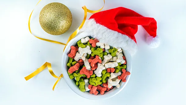 Beware Holiday Treats For Your Pets This Christmas Season