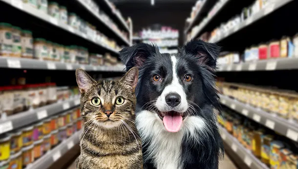 Veterinary Diets vs Store Bought Diets