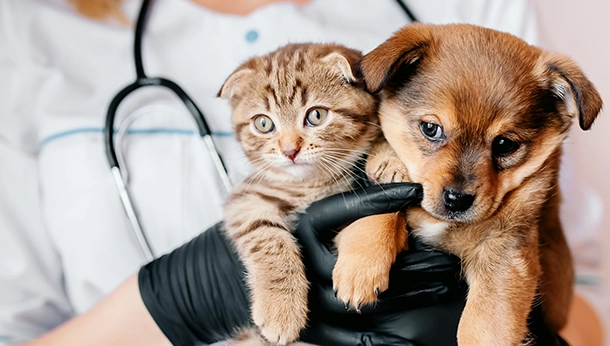 Clinic Etiquette for People and Pets | What Do I Say or Do?