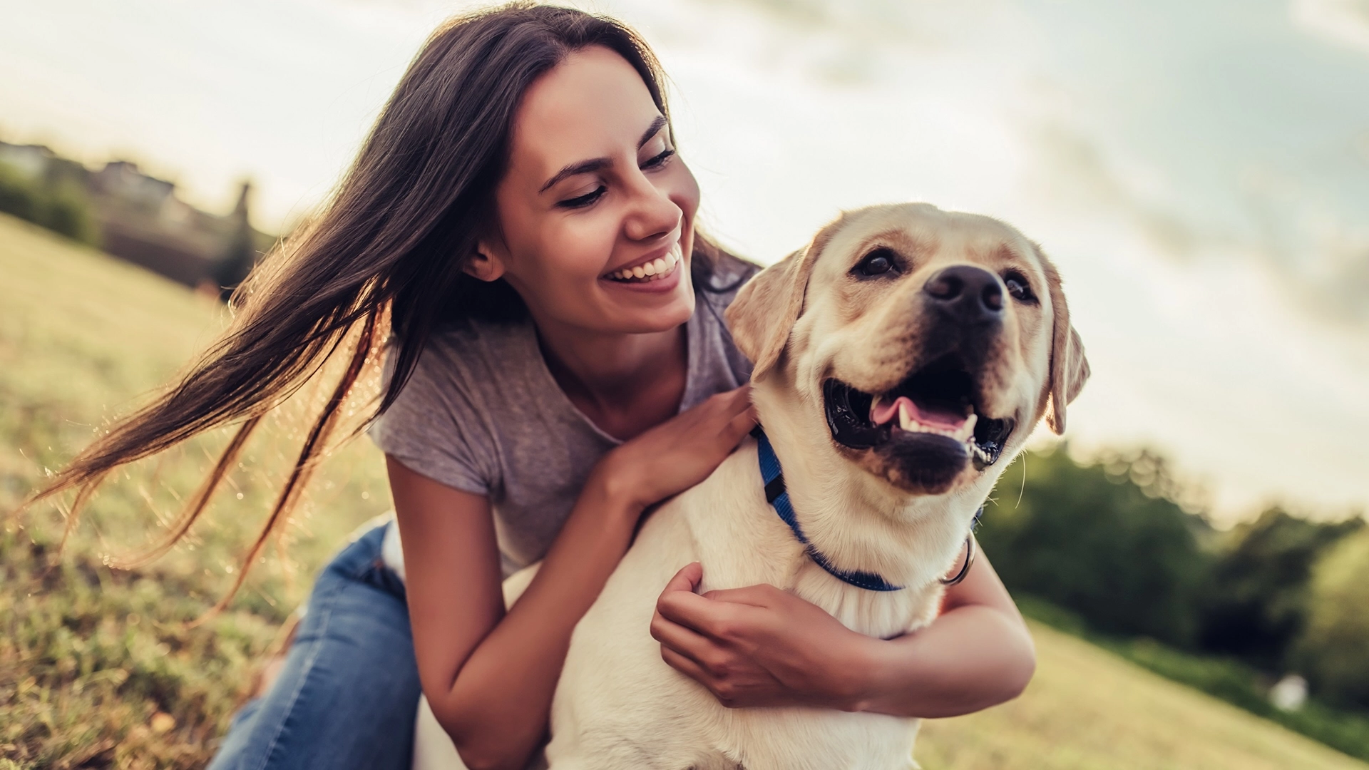 Veterinarian In Nanaimo British Columbia Chase River Veterinary Hospital   Shutterstock 710903941 1920 Flipped.webp