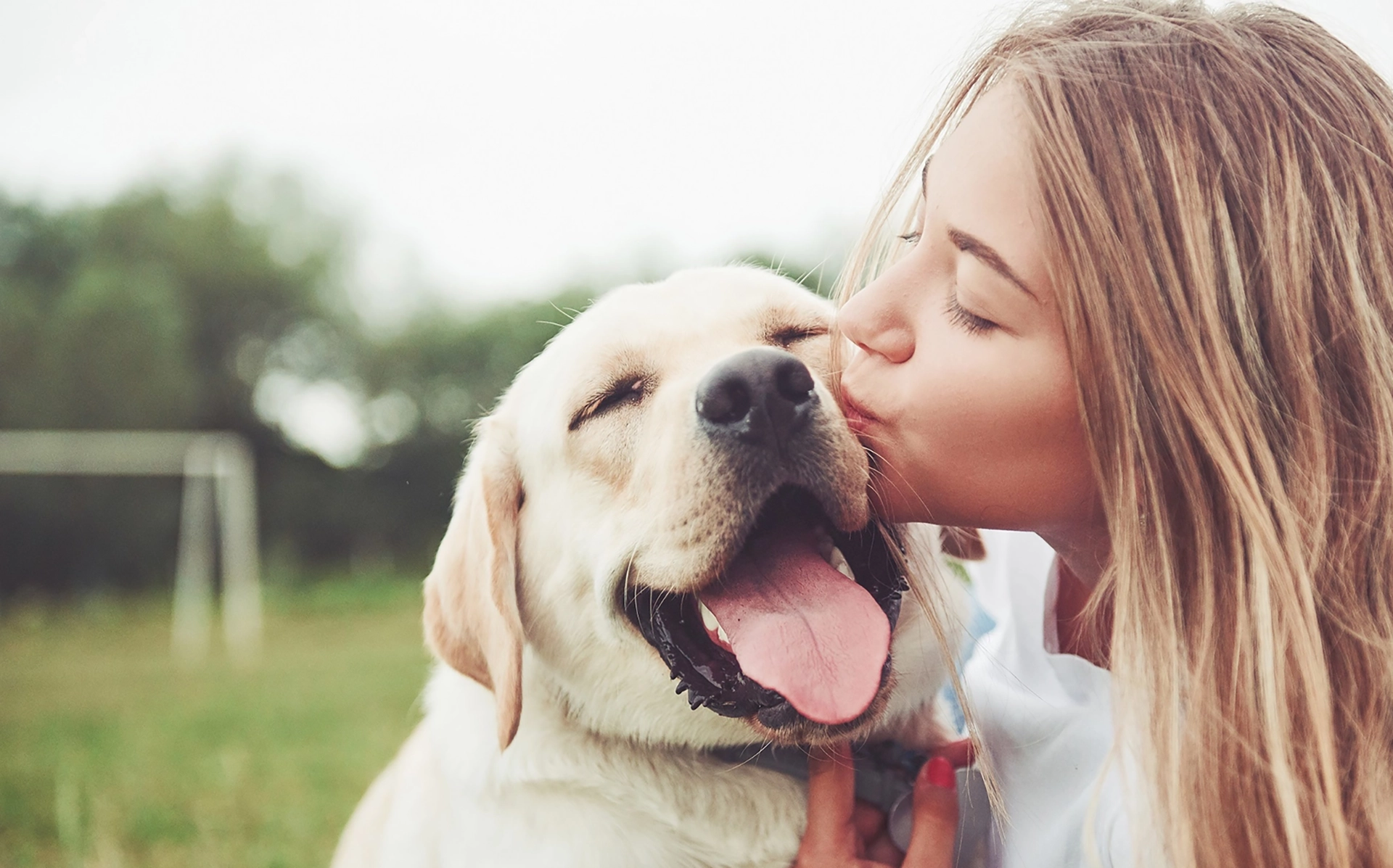 Veterinarians in Ottawa, ON - Centretown Veterinary Hospital