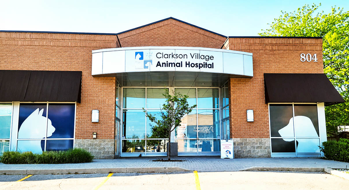 Clarkson Village Animal Hospital, exterior view