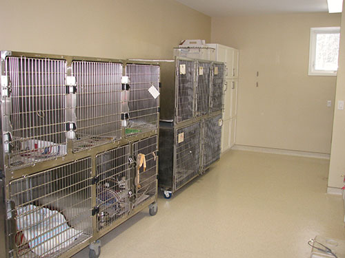 Kennel