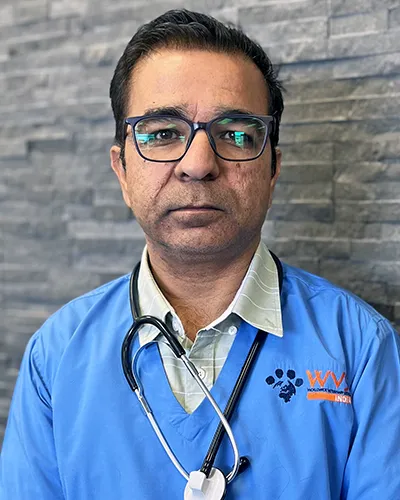 Dr. Raman Kumar