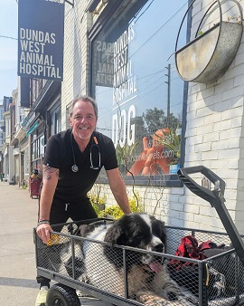 Dr. Scott Bainbridge