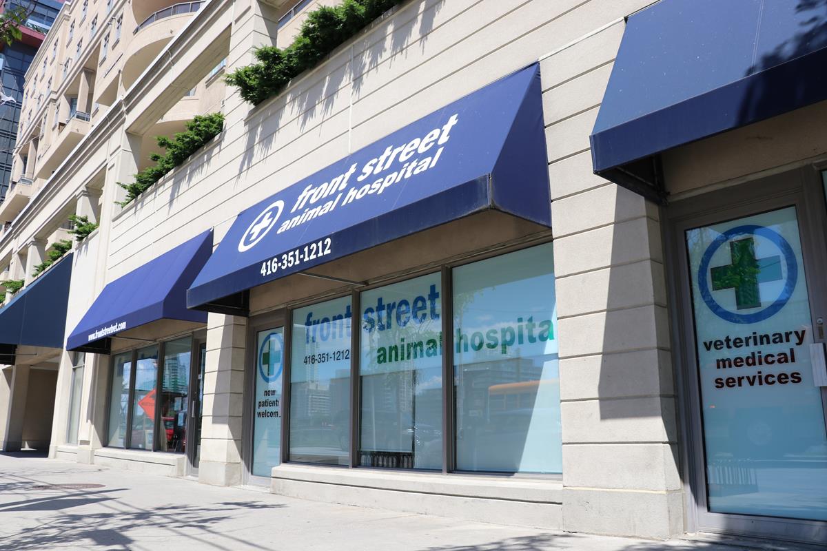 FSAH Toronto Animal Hospital Tour - Front Street Animal Hospital FSAH Toronto Animal Hospital Tour - Front Street Animal Hospital