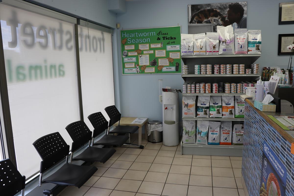 FSAH Toronto Animal Hospital Tour Front Street Animal Hospital   Waiting Area 