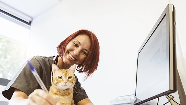 Why Every Pet Deserves A Stress-Free Veterinary Visit - Gateway Pet ...