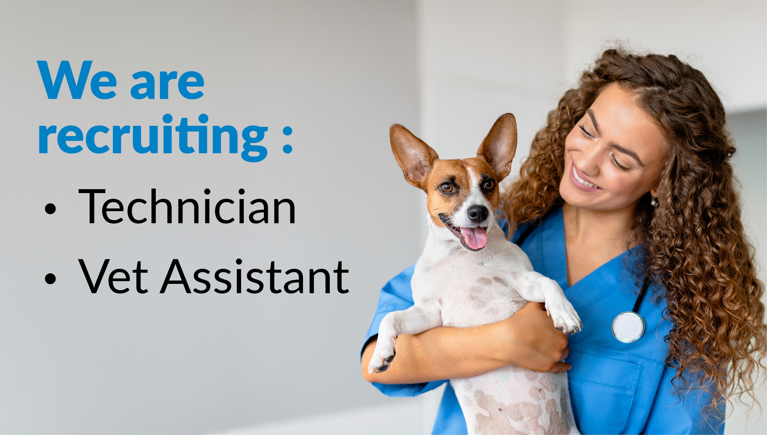 Nous recrutons – Clinique vétérinaire Amqui