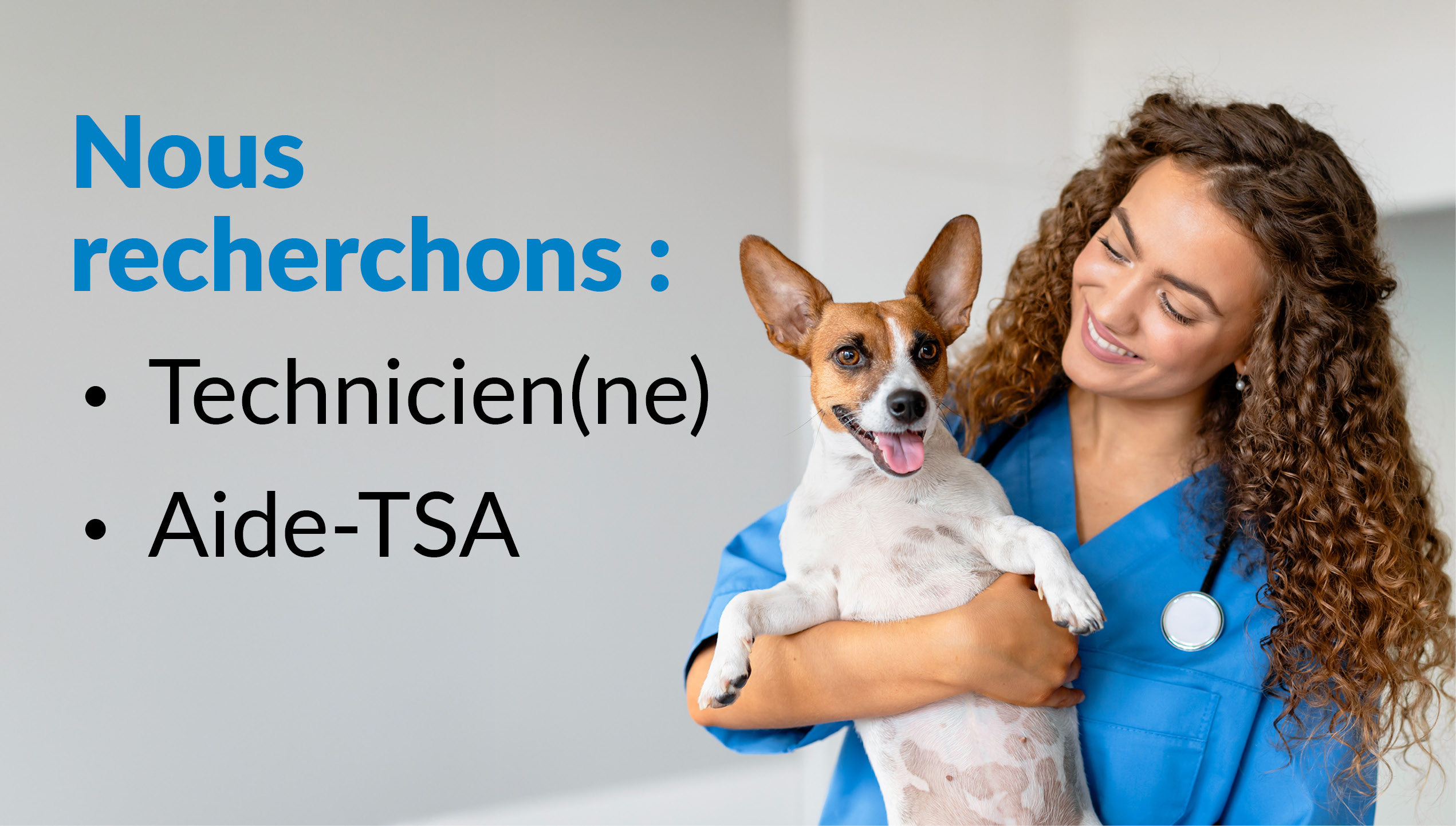 Nous recrutons – Clinique vétérinaire Amqui