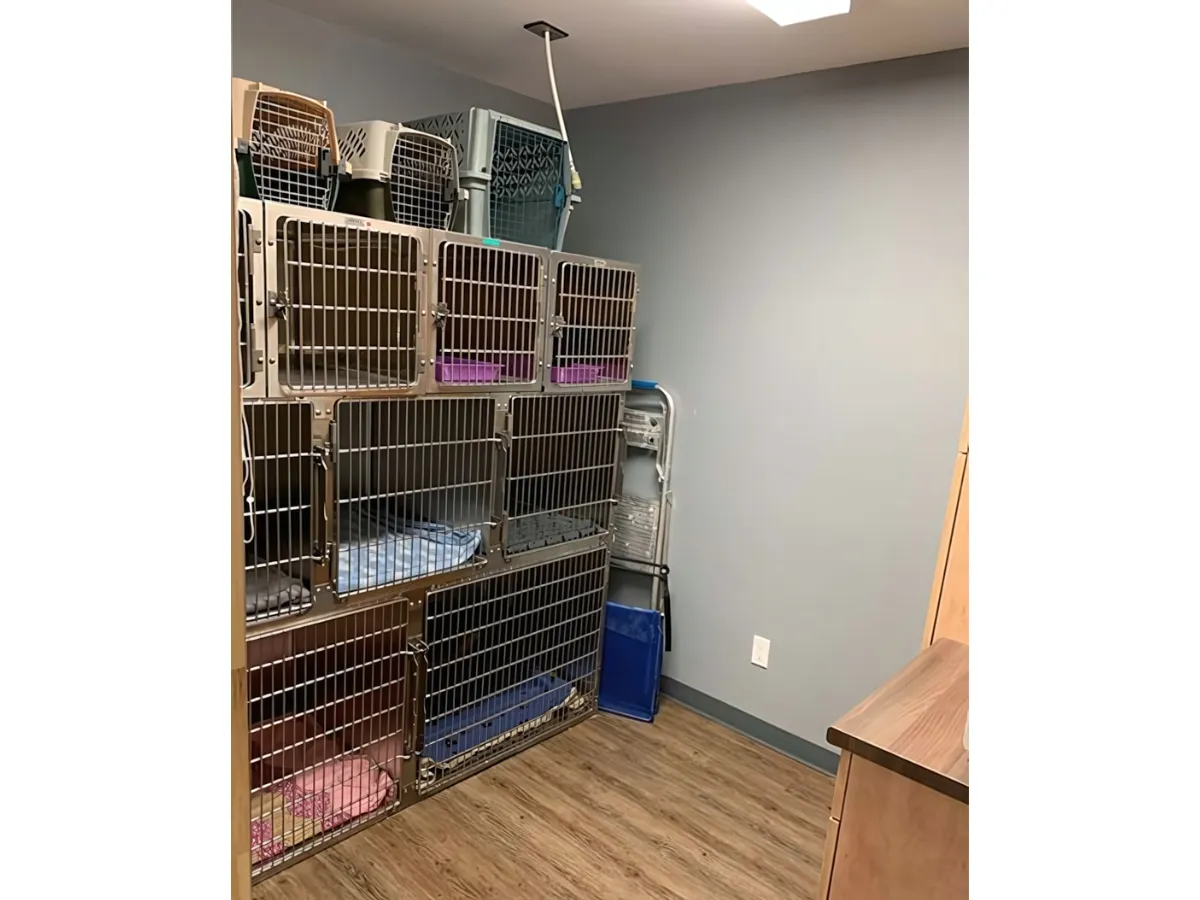 25 Cat Kennel Room