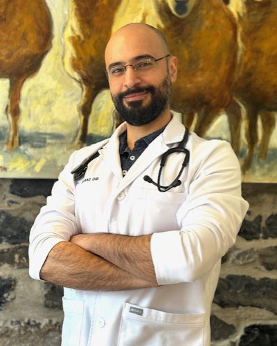 Dr. Assaad Dib