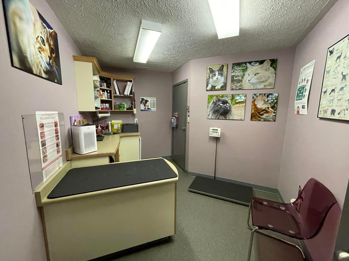 Exam room 2