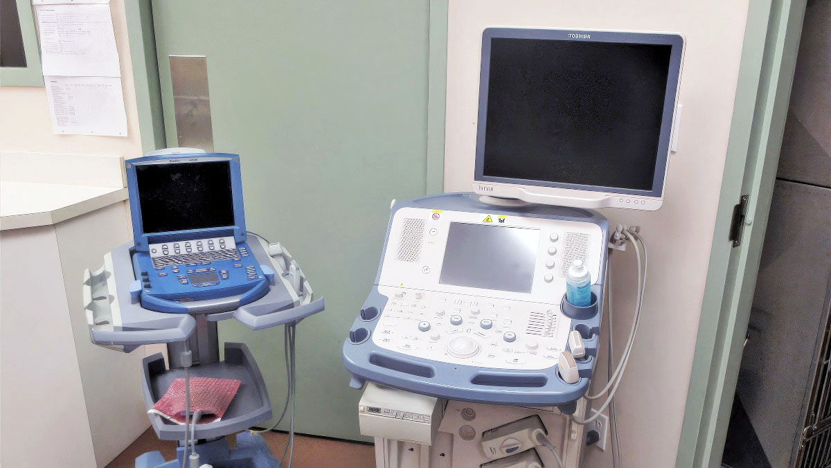 Ultrasonography