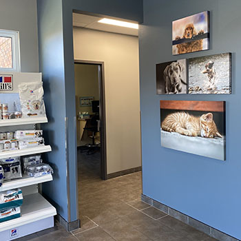 South Windsor Animal Hospital Virtual Tour - South Windsor Animal Hospital