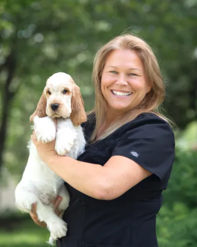 Veterinarians in Sherbrooke, Québec - Hôpital vétérinaire Vieux-Village