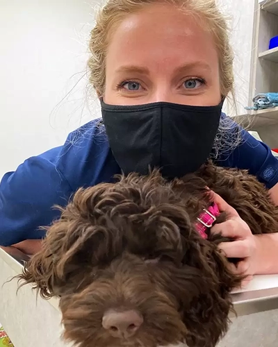 Meet the Veterinary Team, Downtown Toronto - Wellesley Animal Hospital