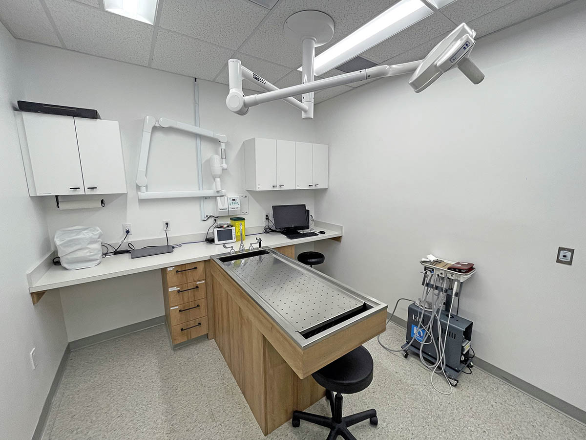 Dental Suite